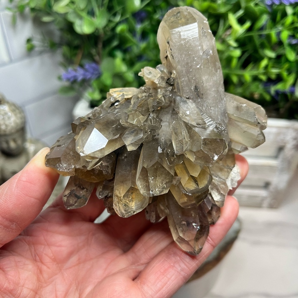 Stunning Smokey Quartz Cluster Gem Rock Collector - Picture 3 of 6
